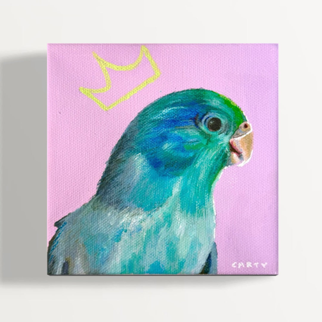 Canvas print of a blue parakeet on a pink background with a yellow crown illustration, painted by New England artist Megan Carty