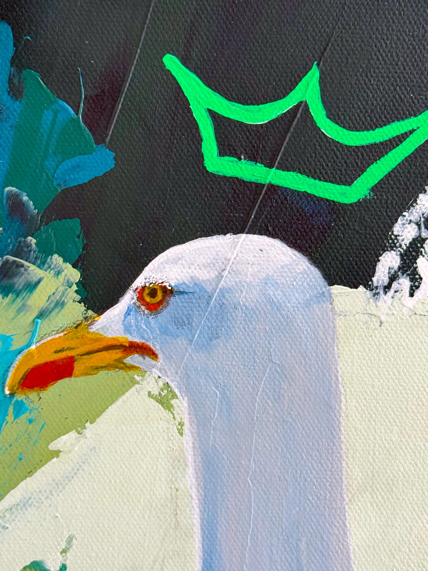 close up of a crowned seagull bird art by Boston artist Megan carty